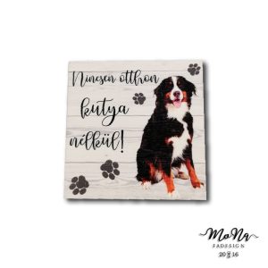 berni-pásztorkutya 7x7cm