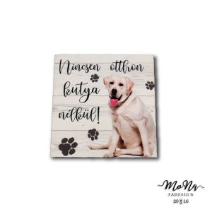 labrador-fehér 7x7cm