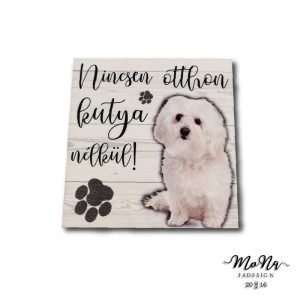 bichon bolognese 7x7cm