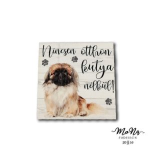 pekingi palotapincsi 7x7cm