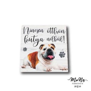 angol bulldog 7x7cm
