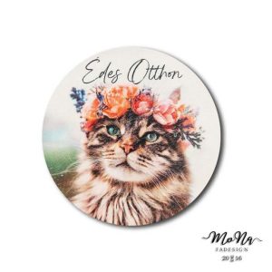 20; 30; 41,5cm-es kör- Cica